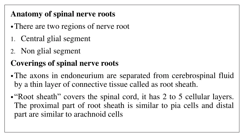 anatomy of spinal nerve roots there