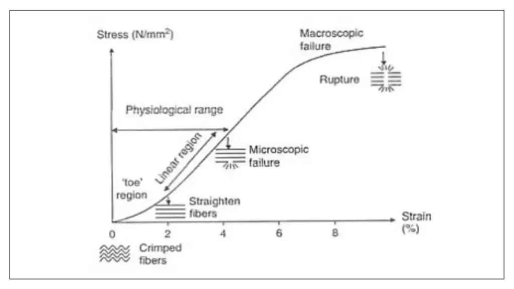 slide24