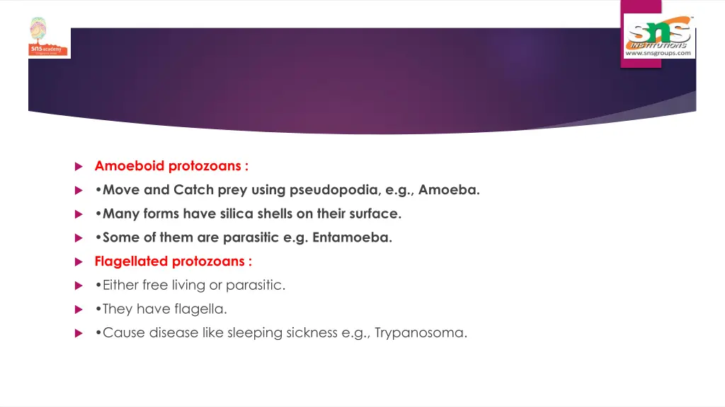 amoeboid protozoans