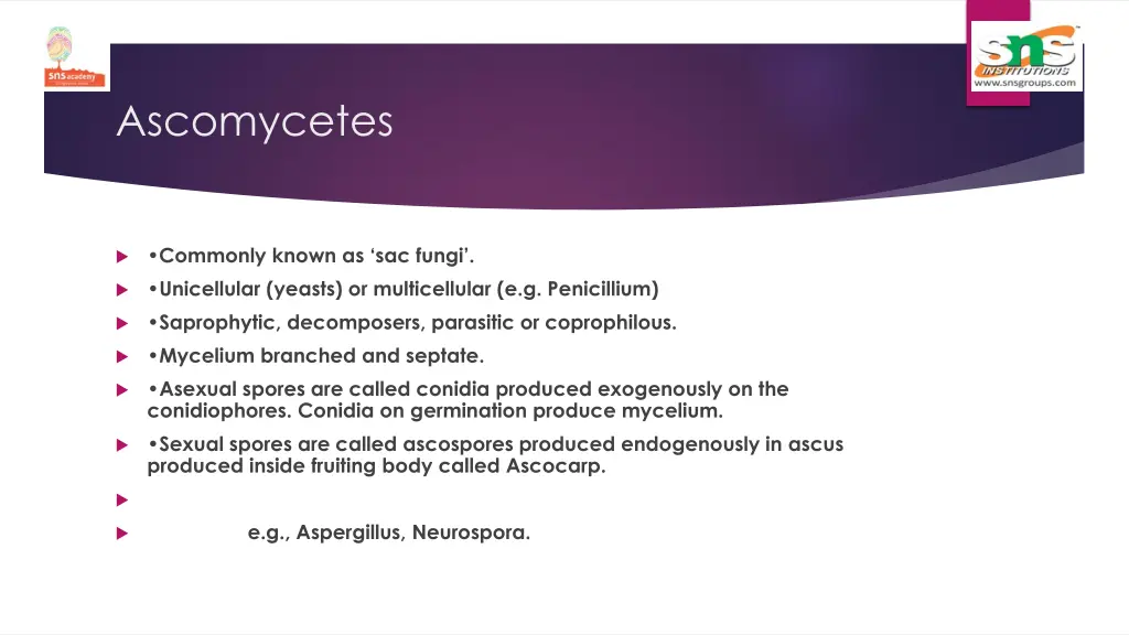 ascomycetes