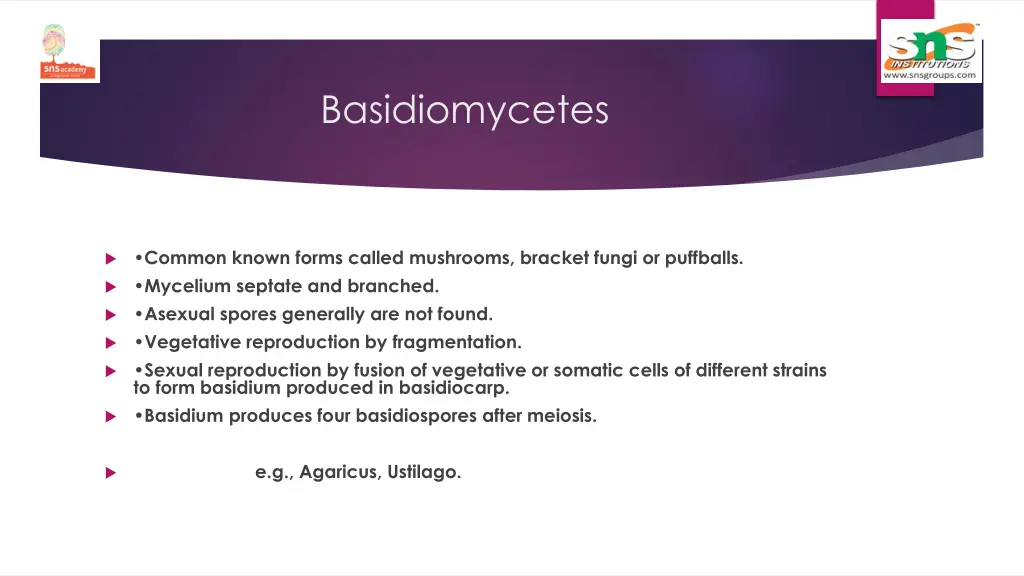 basidiomycetes
