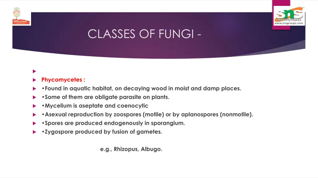classes of fungi