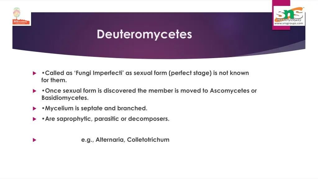 deuteromycetes