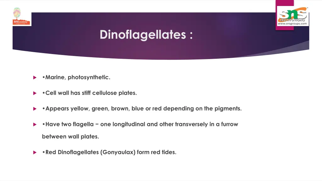 dinoflagellates