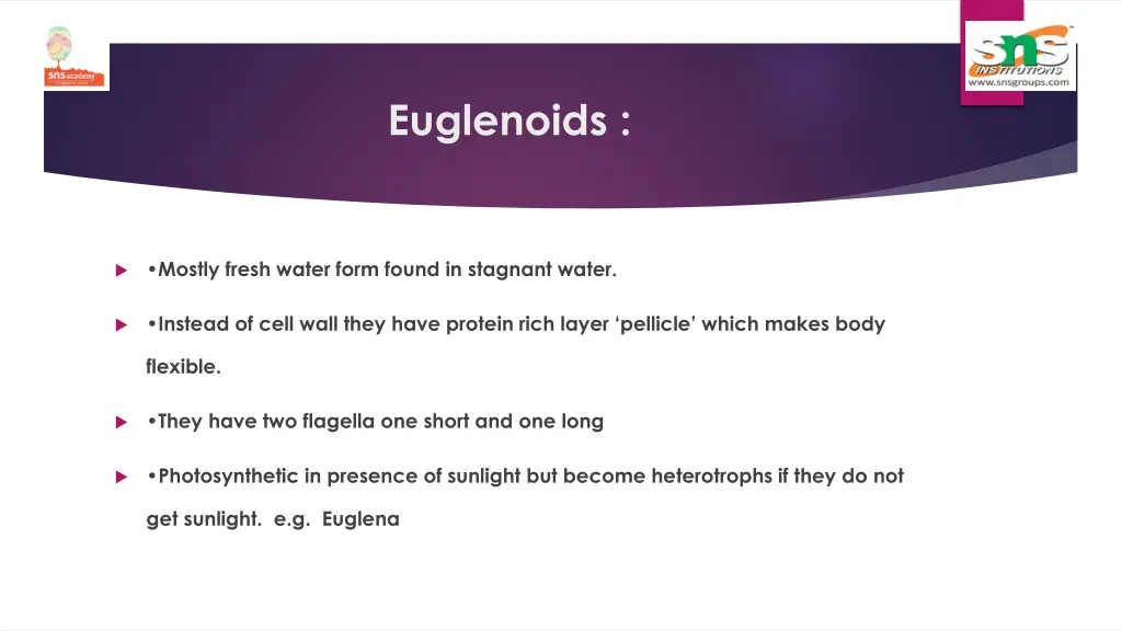 euglenoids