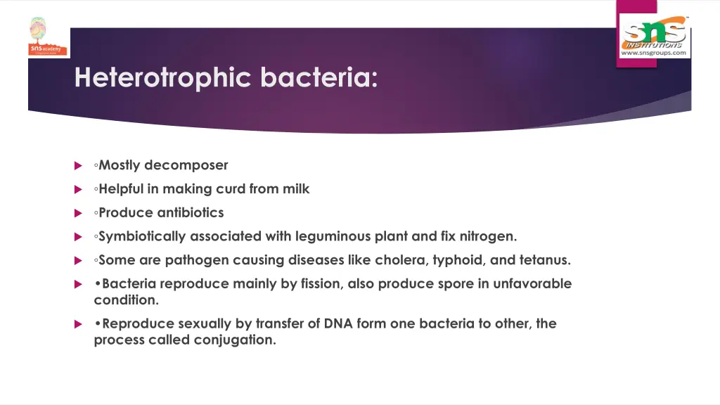 heterotrophic bacteria