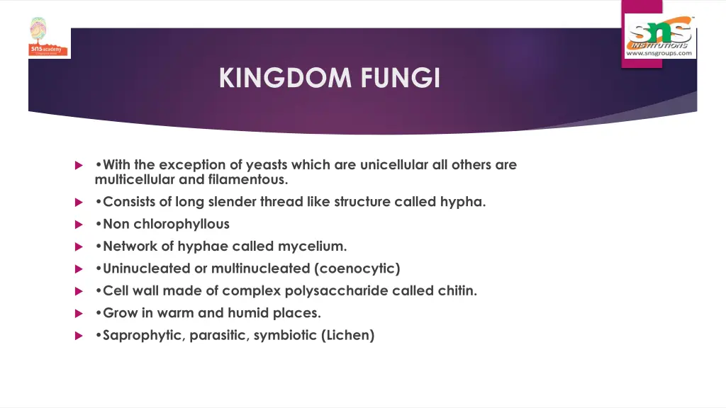 kingdom fungi