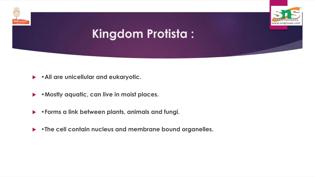 kingdom protista