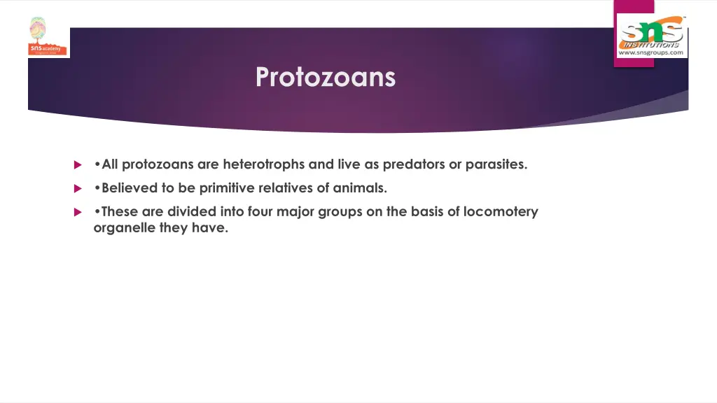 protozoans