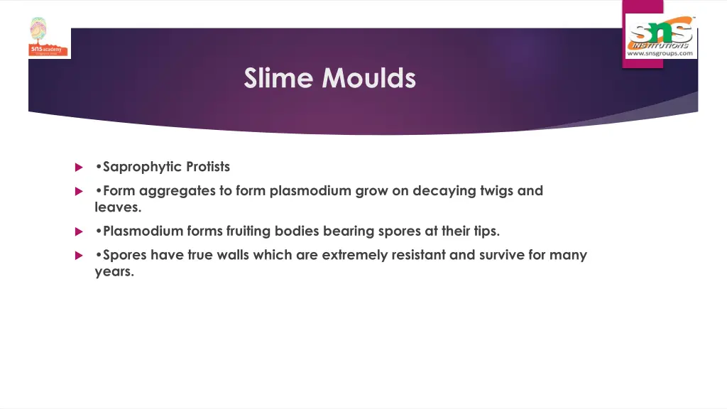 slime moulds