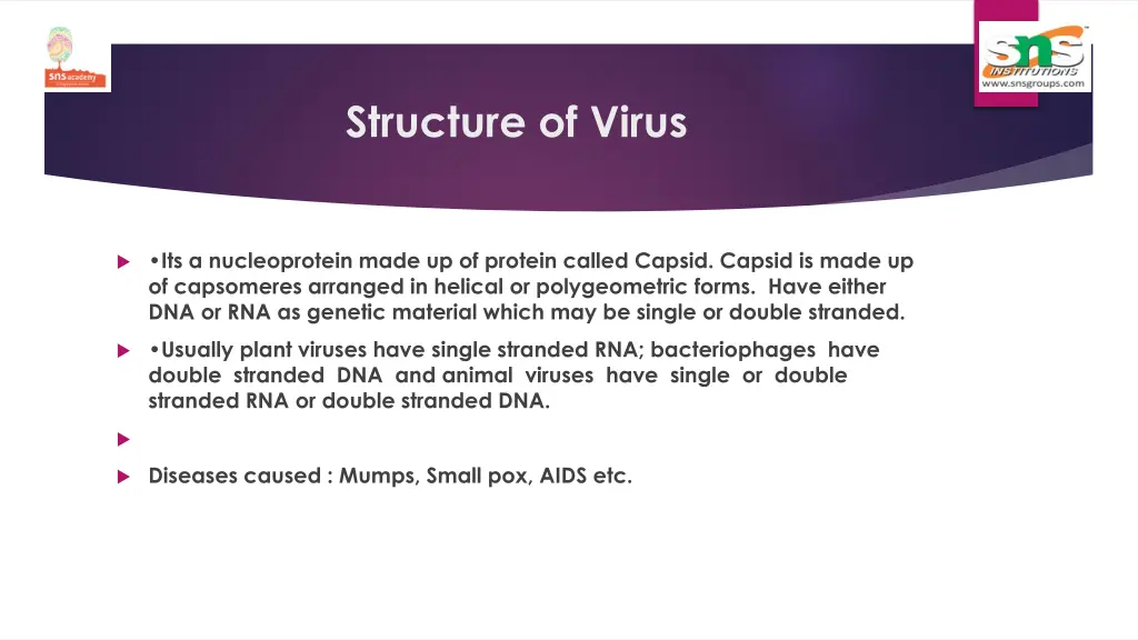 structure of virus