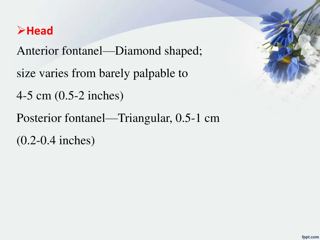 head anterior fontanel diamond shaped