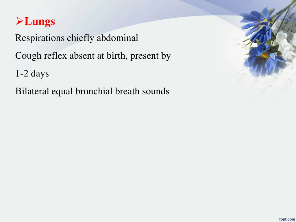 lungs respirations chiefly abdominal
