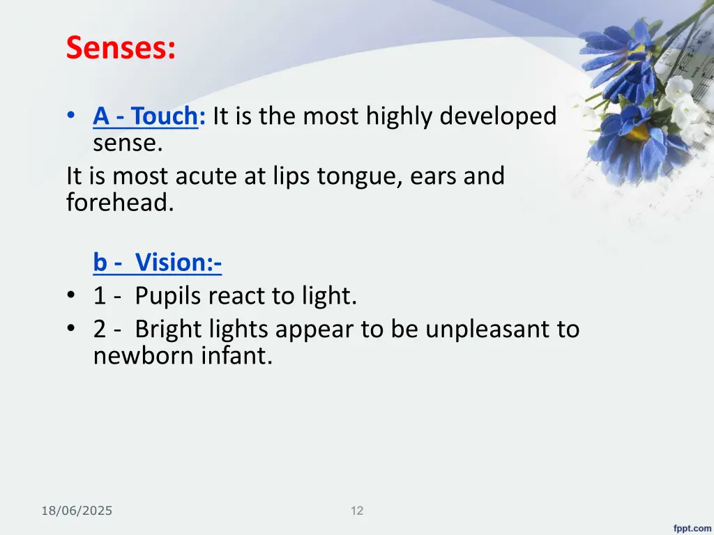 senses
