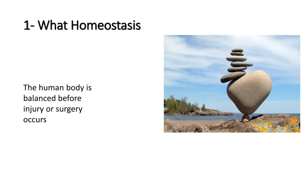 1 1 what homeostasis what homeostasis