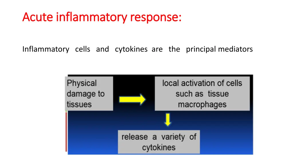 acute inflammatory response acute inflammatory