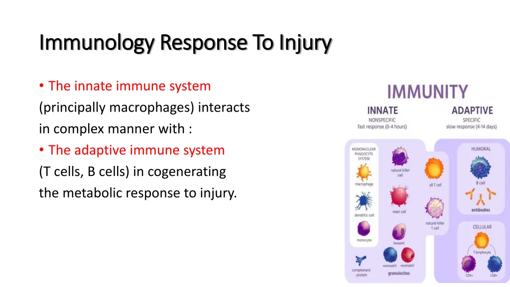 immunology response to injury immunology response