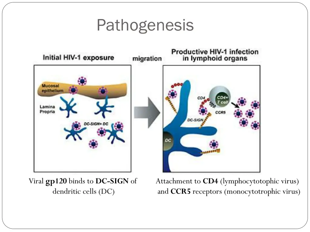 pathogenesis