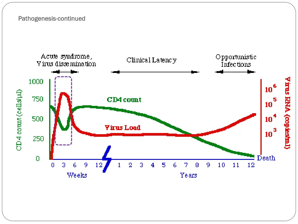 pathogenesis pathogenesis continued 1