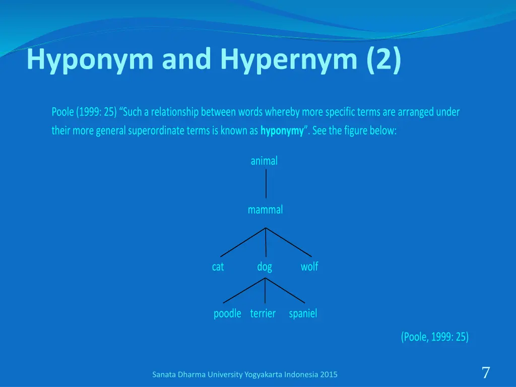 hyponym and hypernym 2