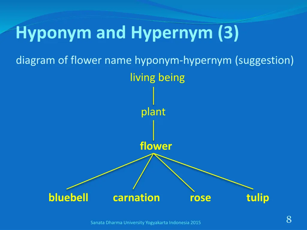 hyponym and hypernym 3