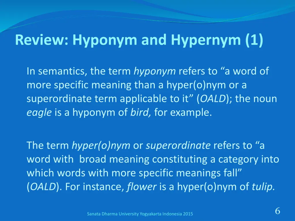 review hyponym and hypernym 1