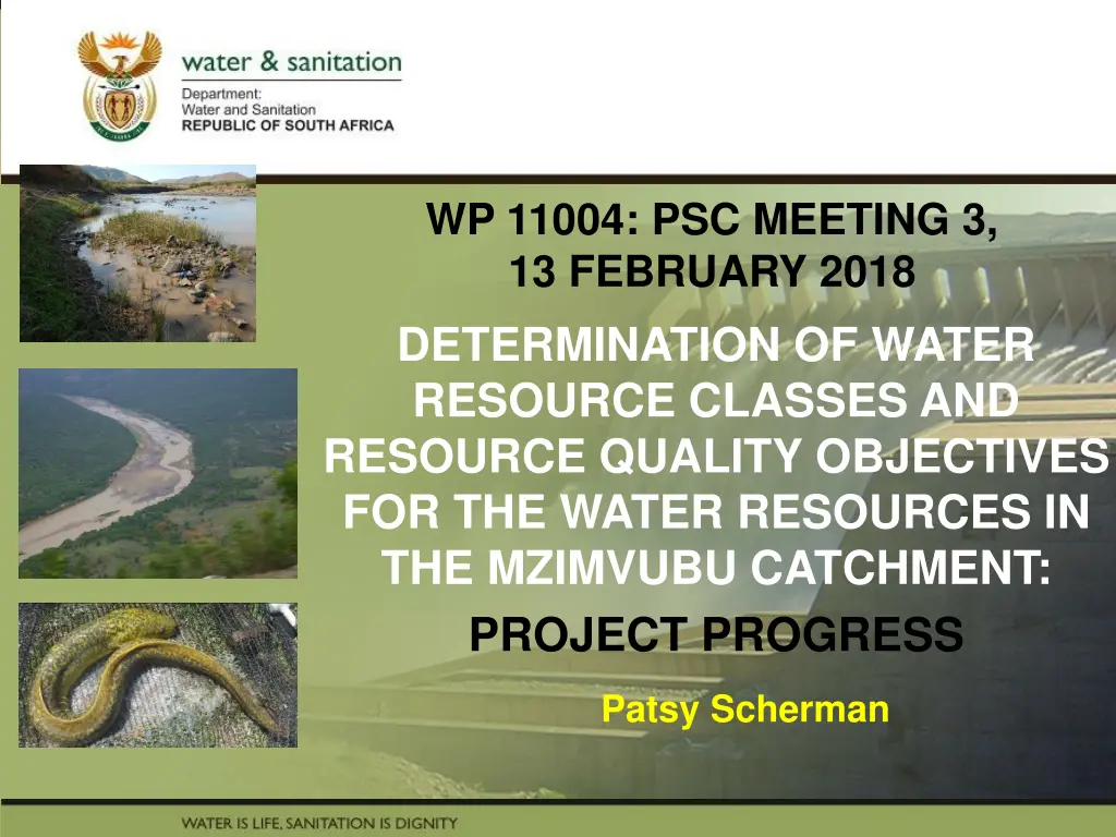 wp 11004 psc meeting 3 13 february 2018