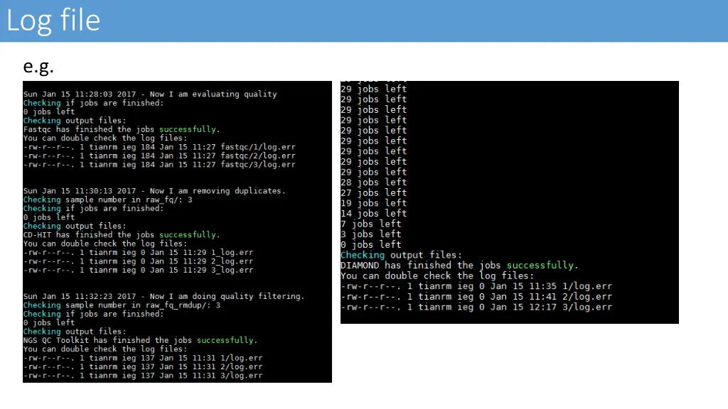 log file