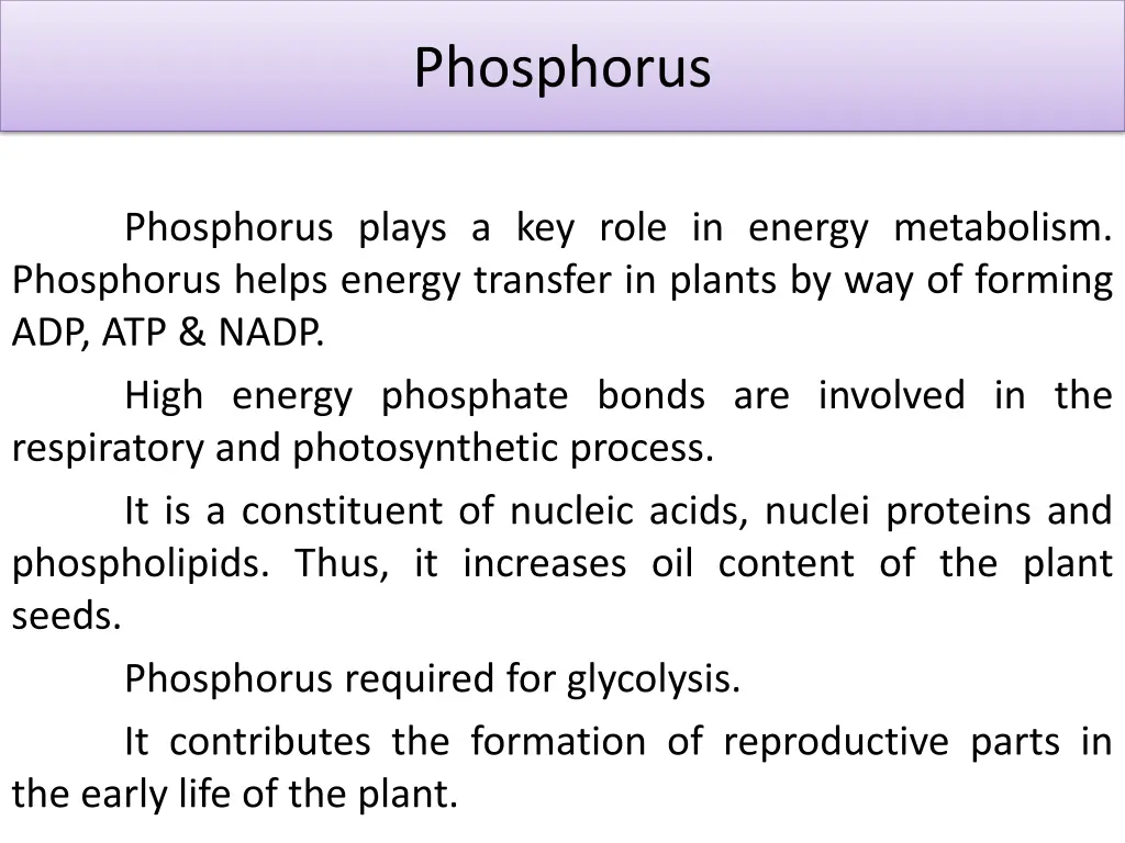 phosphorus