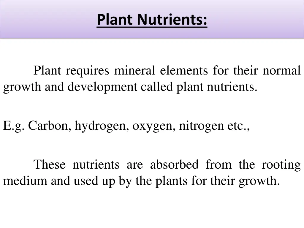 plant nutrients