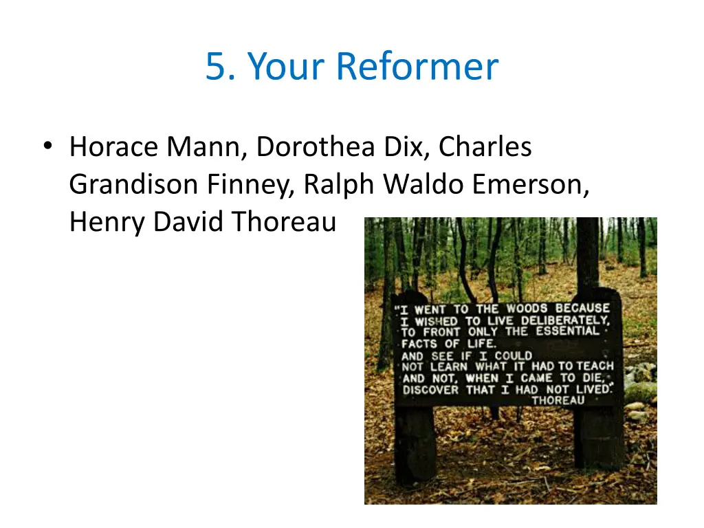 5 your reformer