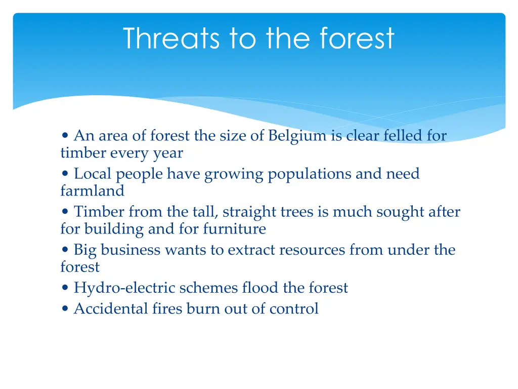 threats to the forest