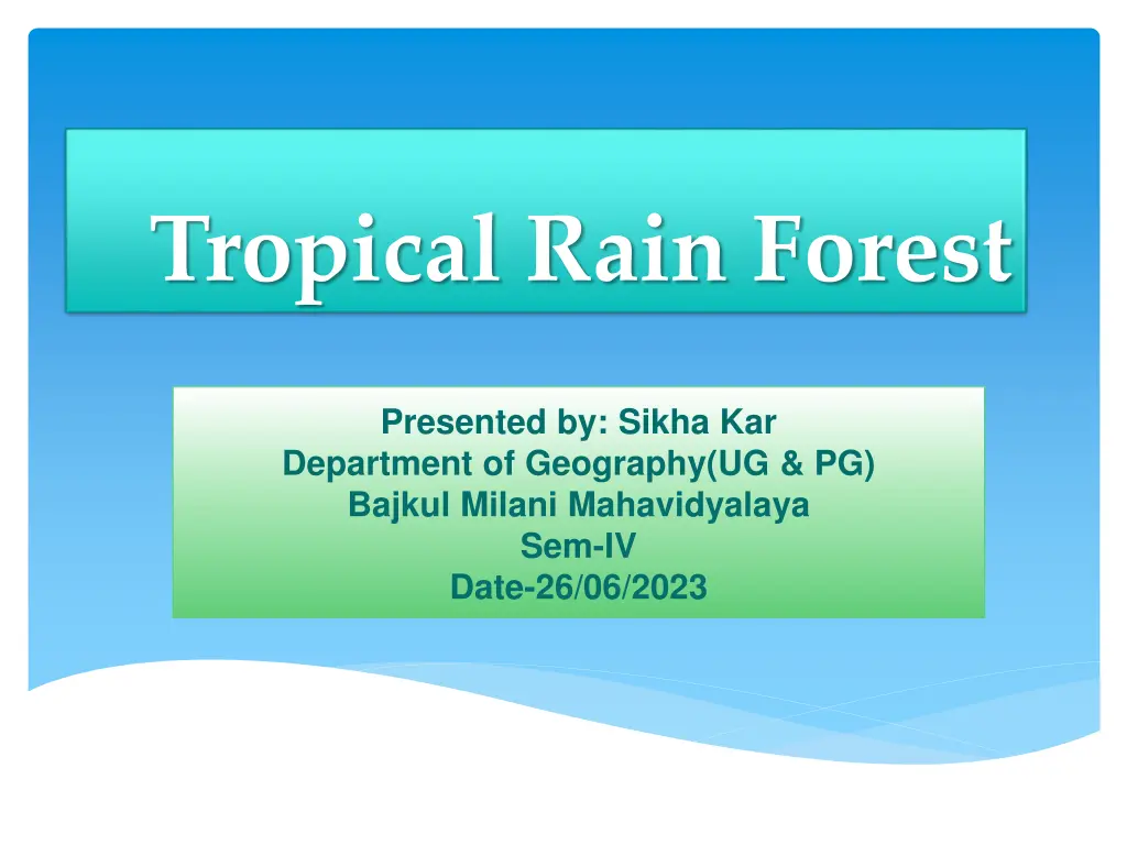 tropical rain forest