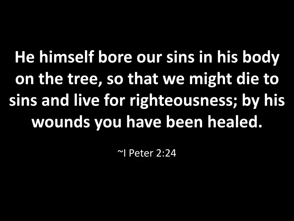 he himself bore our sins in his body on the tree