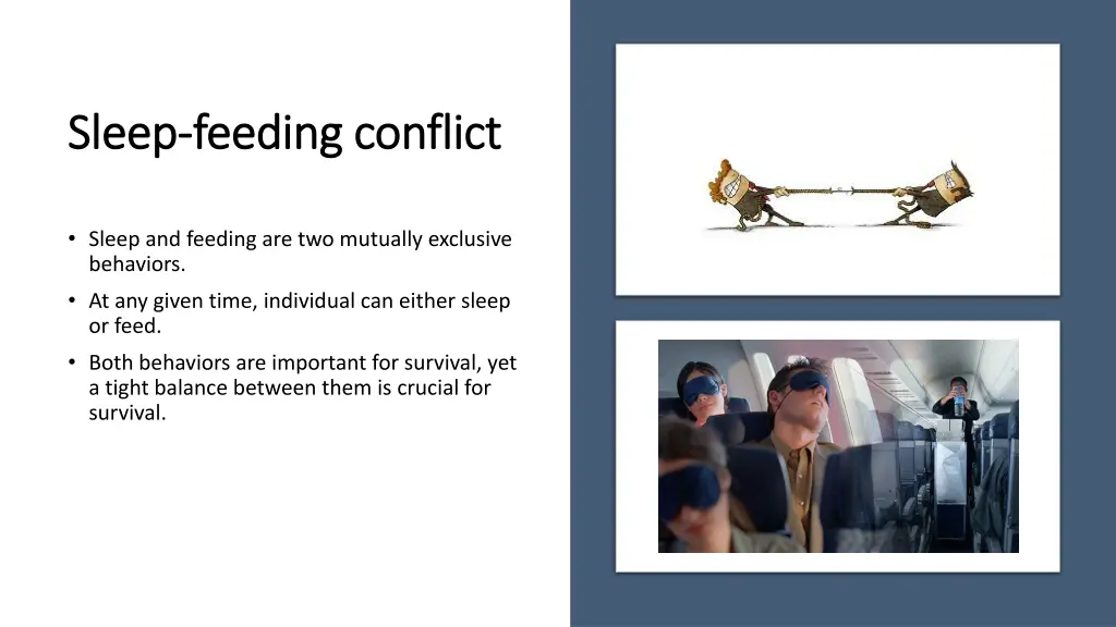 sleep sleep feeding conflict feeding conflict