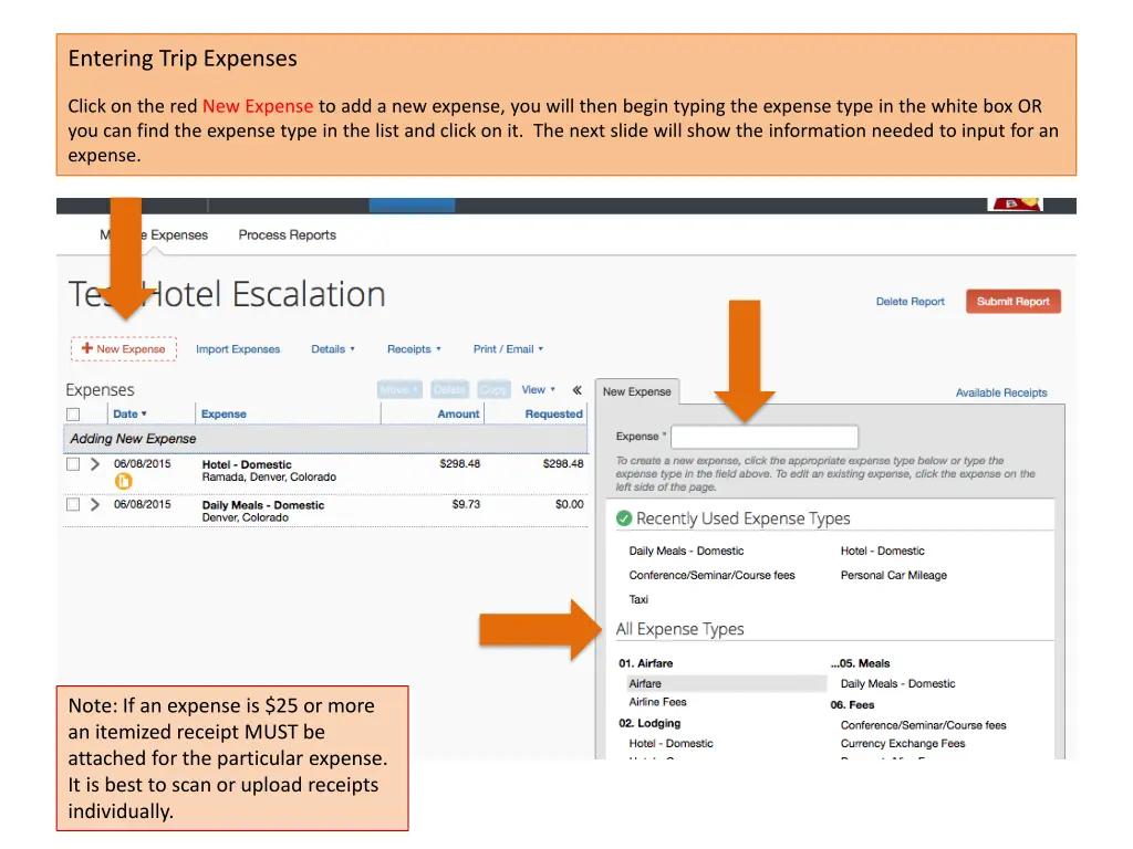 entering trip expenses
