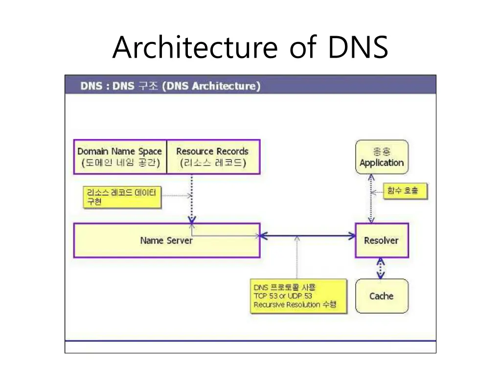 architecture of dns