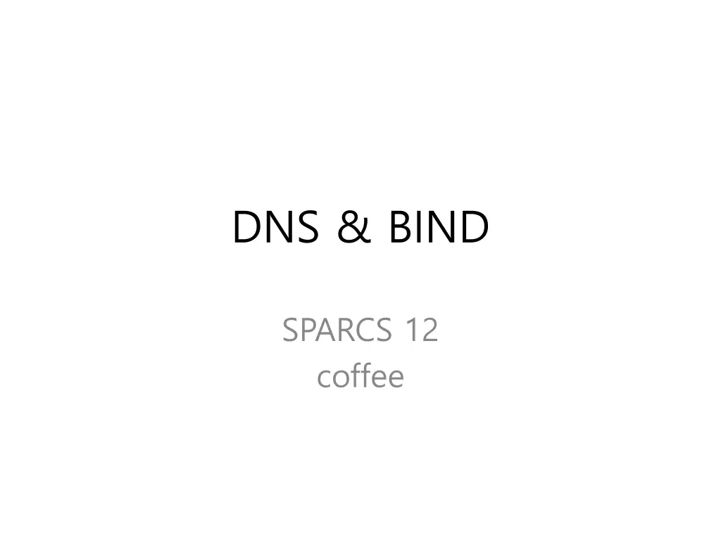 dns bind