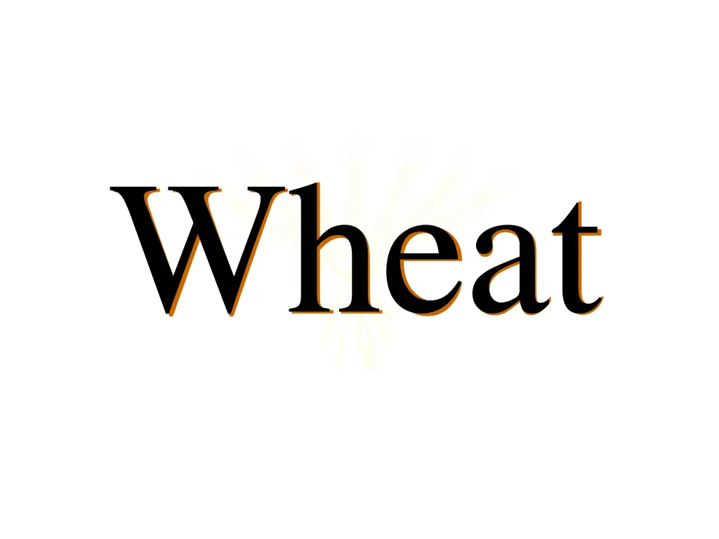 wheat