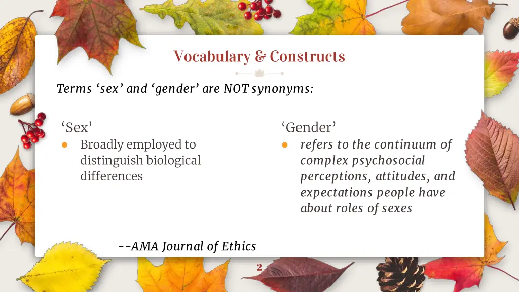 vocabulary constructs