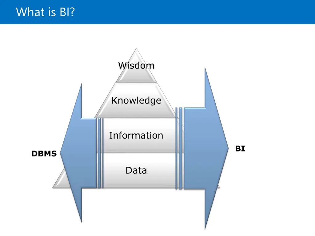 what is bi