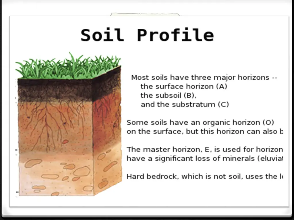 slide8