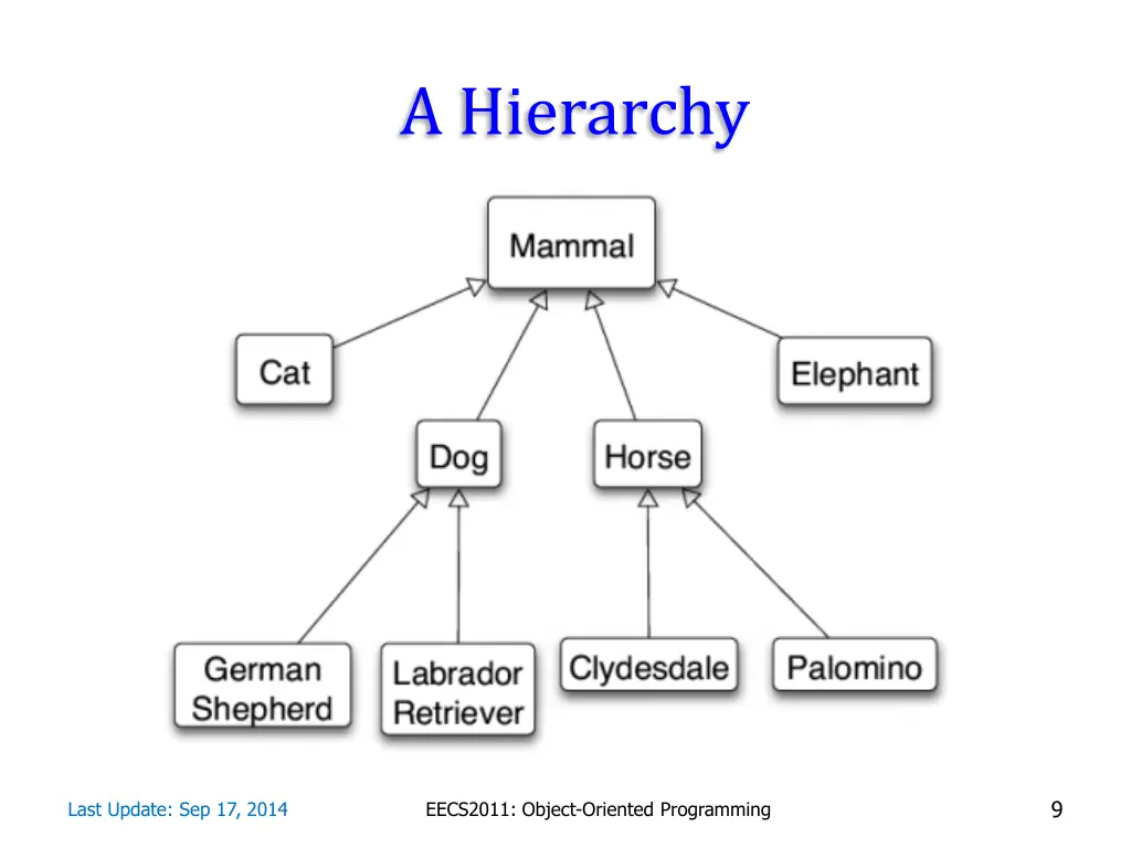 a hierarchy