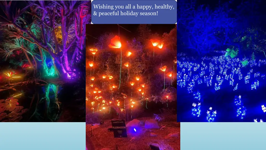 wishing you all a happy healthy peaceful holiday