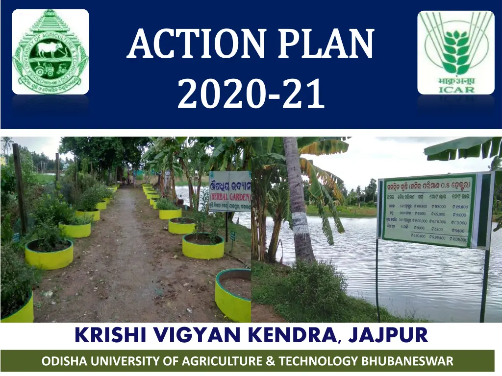 action plan action plan 2020 2020 21