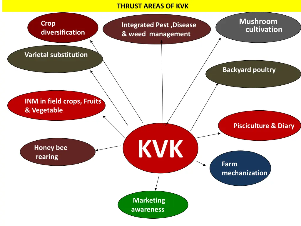 thrust areas of kvk