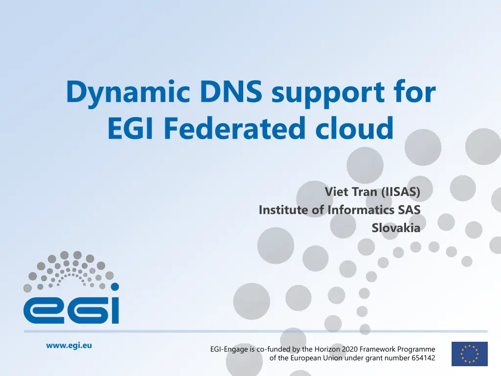 dynamic dns support for egi federated cloud