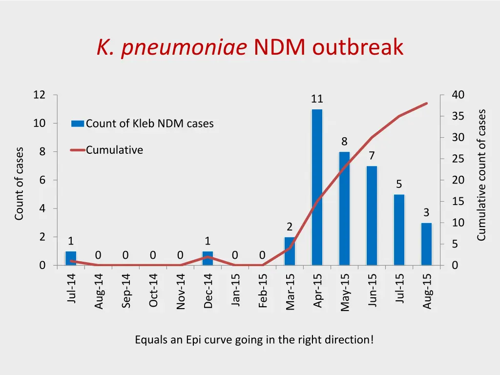 k pneumoniae ndm outbreak