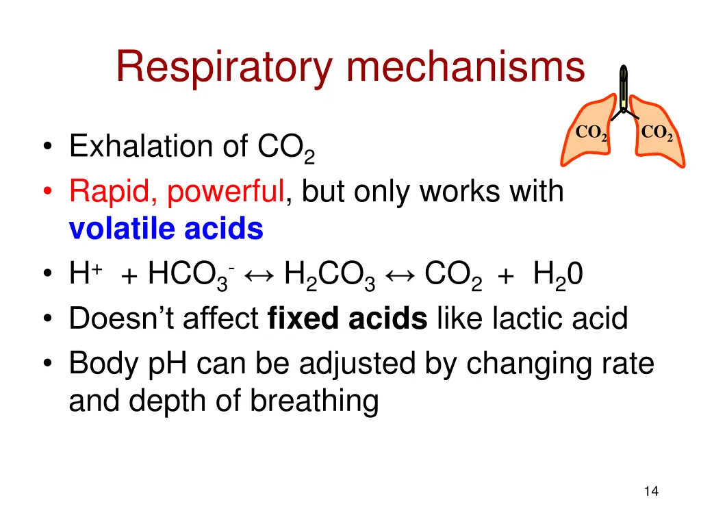 respiratory mechanisms