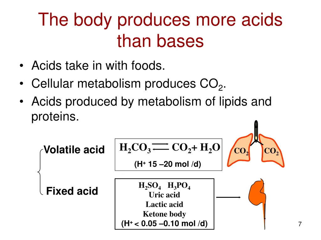 the body produces more acids than bases